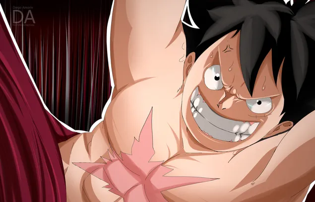 원피스 - 루피 해적 HD 배경화면