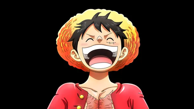 serie manga one piece, opice d. d. luffy se smeje stahnout