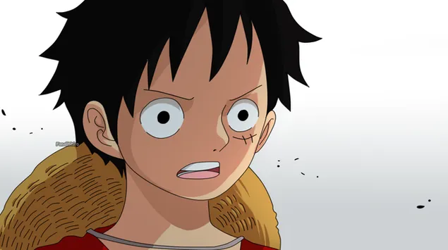 One Piece - Monkey D. Luffy,Ace Died