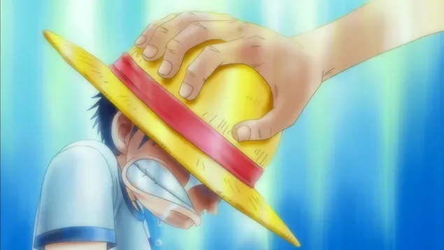 One Piece - Monkey D. Luffy,Crying