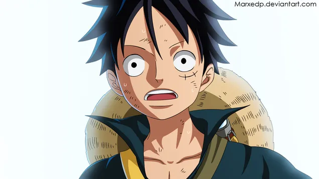 One Piece - Monkey D. Luffy, Menatap