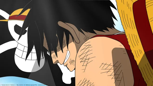 One Piece - Монки Д. Луффи, Соломенная Шляпа, Ярость HD обои