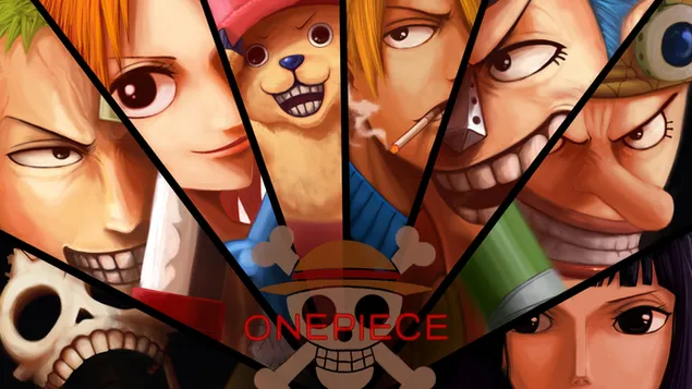One Piece - Monkey D. Luffy, Zoro Roronoa, Usopp, Sanji Vinsmoke, Nico Robin, Franky, Tony Tony Chopper, Nami, Brook HD pozadina