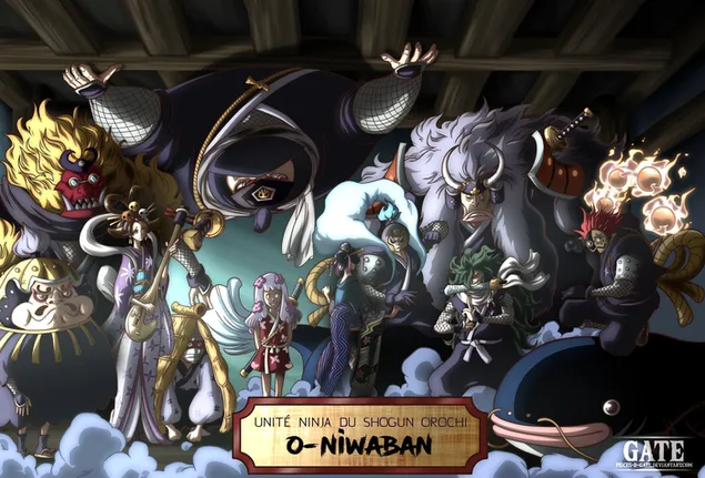 Taustakuva One Piece - Nico Robin Vs O-Niwaban 2K