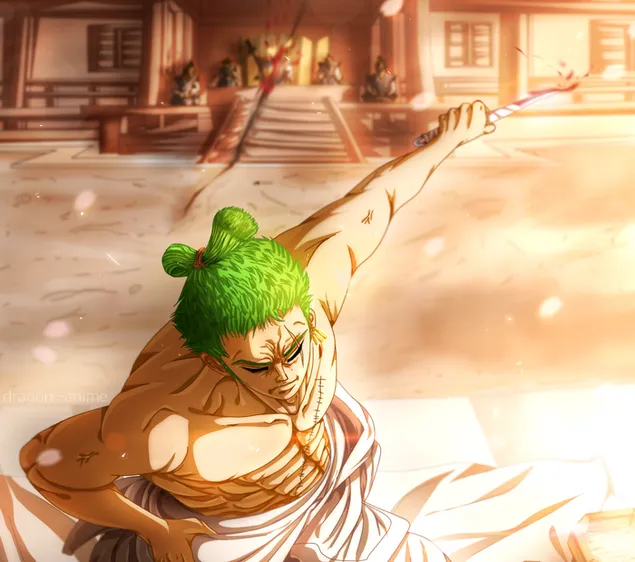 One Piece | Roronoa Zoro Wano Kuni Arc