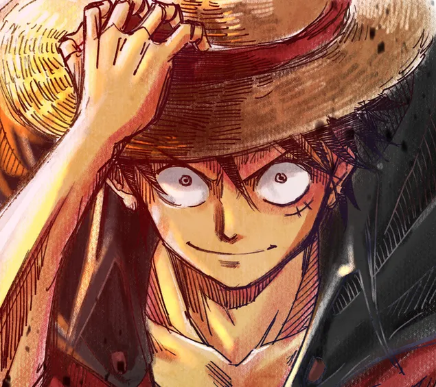 One Piece - Sombrero de Paja Mono D. Luffy 2K fondo de pantalla