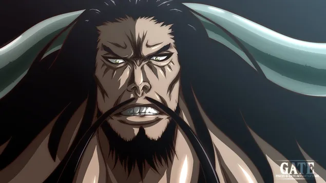 One Piece - Yonkou Kaido 2K papel de parede