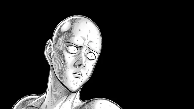 one punch man anime saitama stahnout