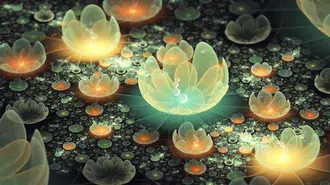 Graphique fleur de lotus orange et vert 4K fond d'écran