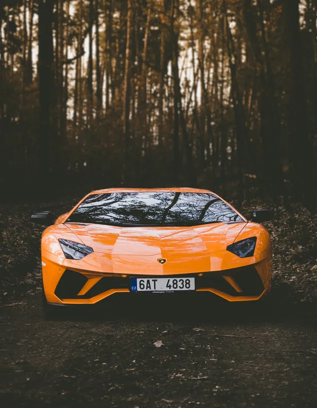 orange Lamborghini car  download