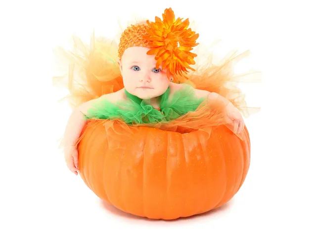 オレンジ色のカボチャとオレンジ色の帽子のオレンジ色の花と緑のドレスを着た赤ちゃんの写真 ダウンロード