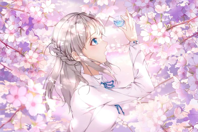 Original - Sakura