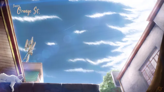 Оригинален - Sweet Orange St. HD тапет