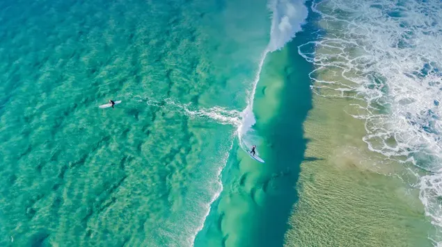 オーストラリア クイーンズランド州ゴールドコーストのパームビーチで波をキャッチするサーファー ダウンロード