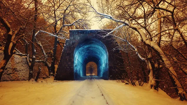 Oude tunnel in het bos
