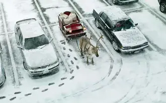 nase jeleni divka, ktera se pripravuje na novy rok, absolvuje prohlidku mesta se svym kabrioletem. stahnout