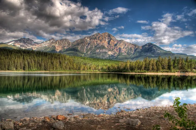 Bewölkter Blick auf die kanadischen Rocky Mountains und Wälder HD Hintergrundbild