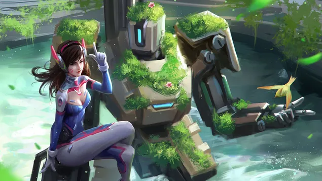 Overwatch (Bastion ile D.Va) 4K duvar kağıdı