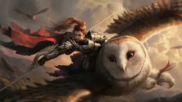 Owl Rider 4K imagine de fundal