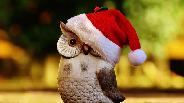 Burung hantu memakai Topi Santa 4K wallpaper