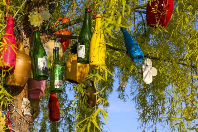 Oslikane boce na drvetu 4K pozadina