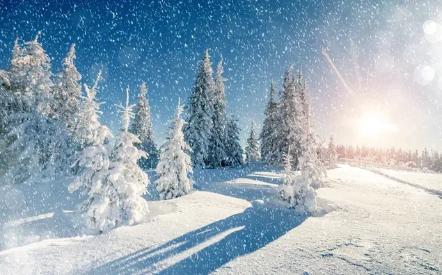 Paisaje blanco con árboles nevando y sol naciente en suelo nevado