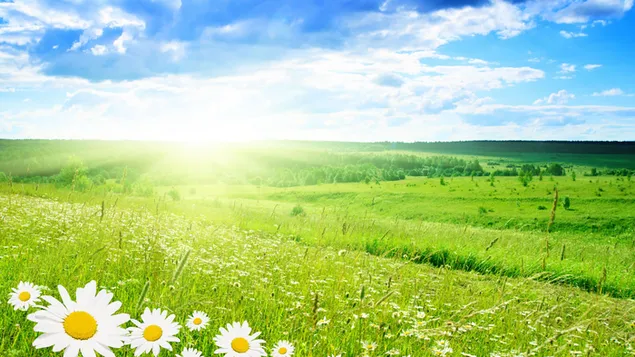 paisaje de primavera descargar
