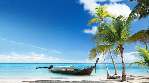 Palmen en boot op het strand bij bewolkt weer HD achtergrond