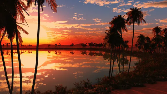 Palms and landscape reflecting in water in landscape of red clouds at sunrise