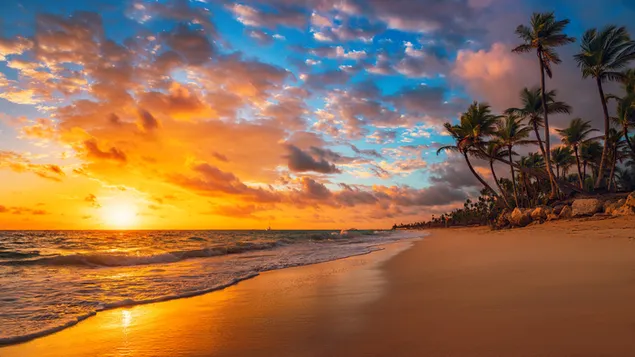 Palmen und Wellen am Strand bei Sonnenuntergang 4K Hintergrundbild