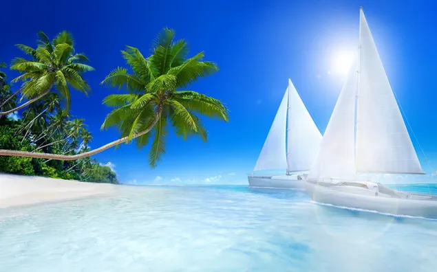 Palmen op het strand en zeilboot in de zee 2K achtergrond
