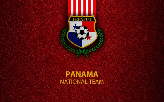 パナマ代表サッカーチーム