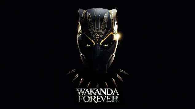Pantera negra Wakanda Forever 2022 Marvel película descargar