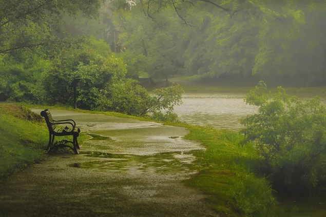 川の近くの雨の中の公園のベンチ