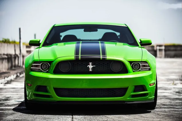Parkeret grøn sportsvogn Ford Mustang download