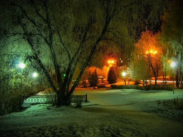 Parque de invierno cubierto de nieve por la noche