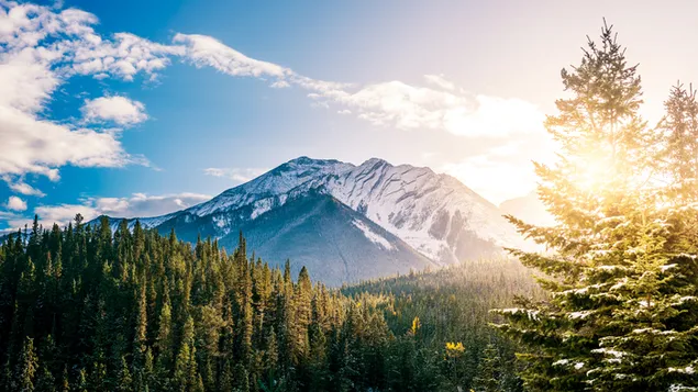 Parque Nacional Banff , El pico de la montaña