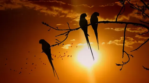 Loros encaramados en la rama de un árbol y pájaros voladores contra el cielo amarillo al atardecer