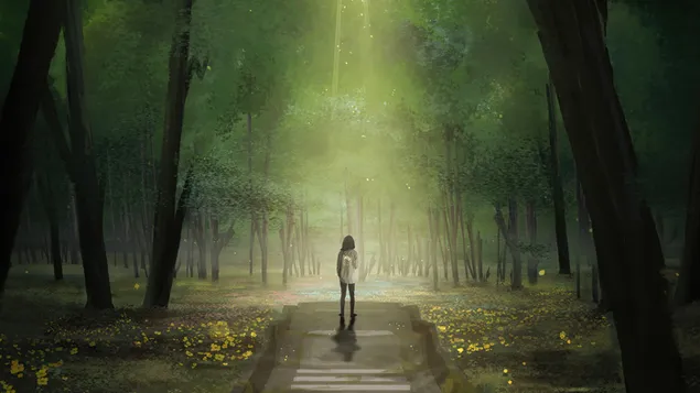 camino en el bosque descargar