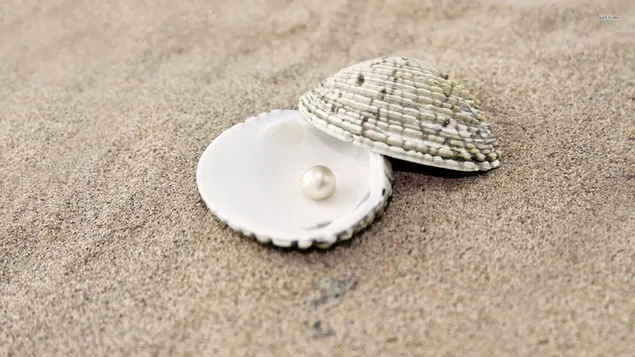 perla in spiaggia scarica