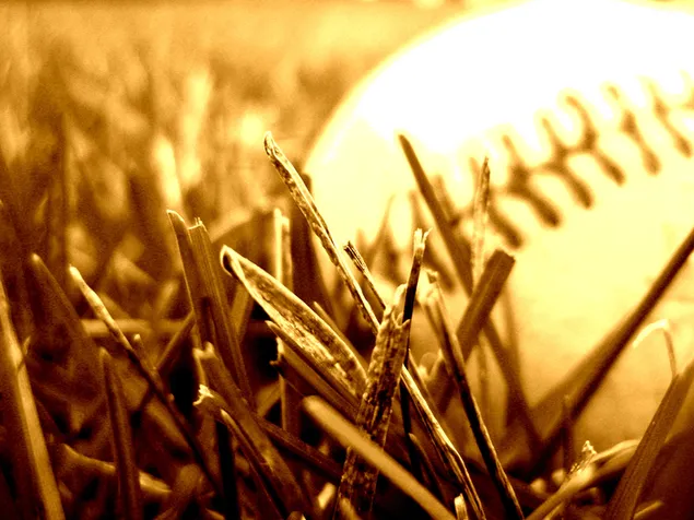 Pelota de béisbol y efecto amarillo hierba