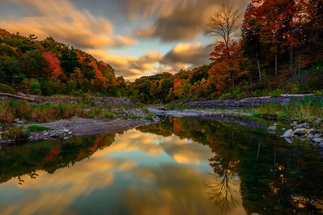 Pequeño río de otoño descargar