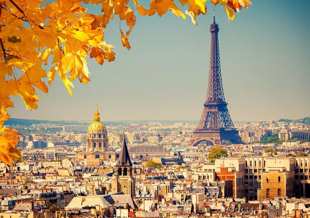 Pemandangan daun dan menara eiffel yang sempurna di kota paris pada musim gugur 4K wallpaper