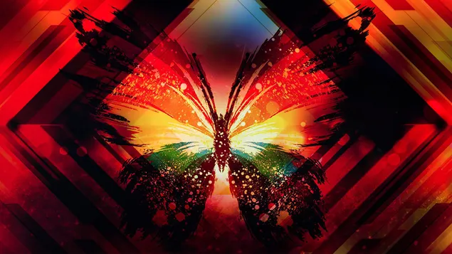 Phoenix butterfly HD wallpaper