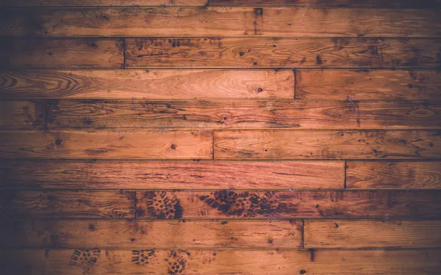 Foto de superficie de madera marrón, cierre, piso, madera dura, fondo