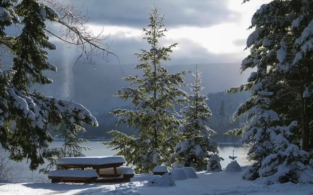 Picknickbank in de winter HD achtergrond