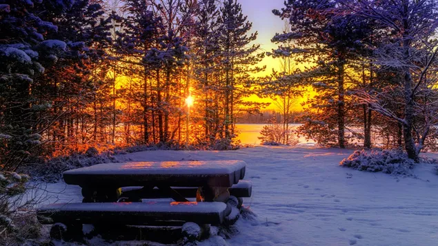 冬の日没の森のピクニックテーブル HD 壁紙