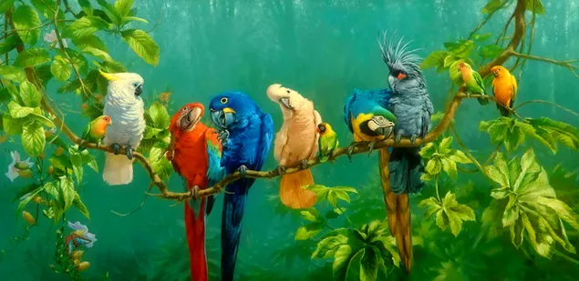 Pájaros pintorescos y coloridos en una rama de árbol 2K fondo de pantalla