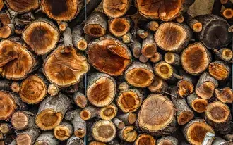 Mucchio di tronchi grigi, fondo di legno HD sfondo