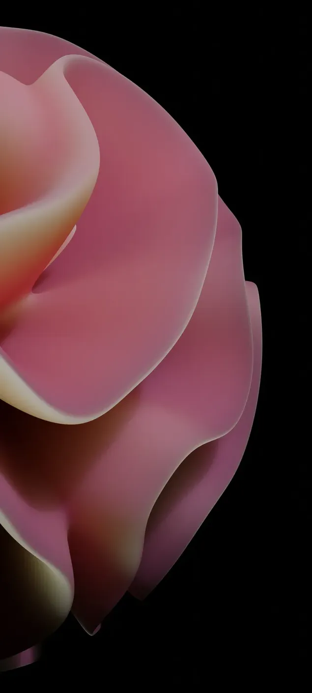 Pink artistic flower on black background HD wallpaper download